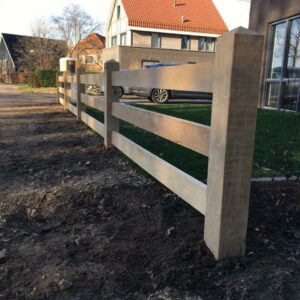 Paal type Holstein