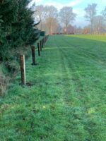 Traditionele eiken afrasteringpalen