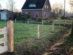 Gekloofde eiken afrasteringpalen
