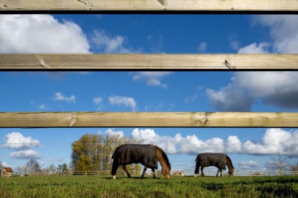 Omheining Oklahoma Omheining Oklahoma