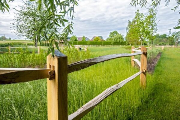 Postenrailomheining Eiken omheiningen