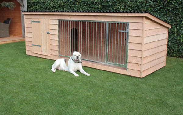 Bello-blank-3 Hondenkennel Bello - Afbeelding 3