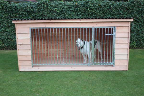 Rex-blank-2 Hondenkennel Rex - Afbeelding 4