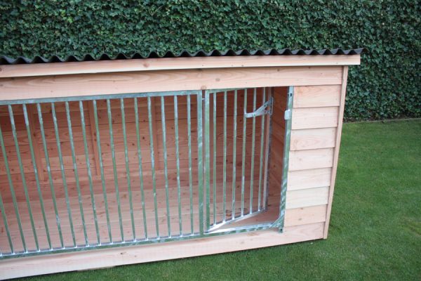 Rex-blank-3 Hondenkennel Rex - Afbeelding 3