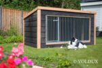 Hondenkennel Reno - Voldux - Afbeelding 7