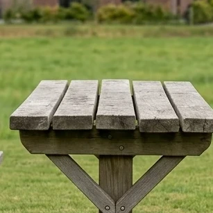 Eiken en Robinia Bosbanken met Tafel-2