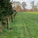 Gekloofde afrasteringpalen eiken