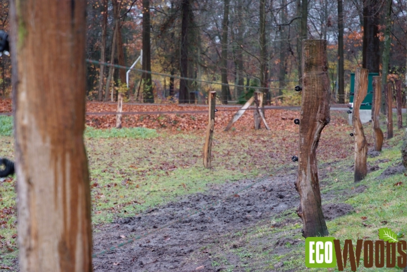 Gekloofde-eiken-paal-Oude-Willem