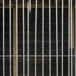 Hondenkennel Bo – Voldux -3