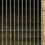 Hondenkennel Boris – Voldux-3