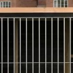 Hondenkennel Dave – Voldux-3