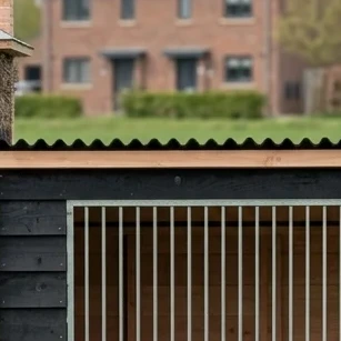 Hondenkennel Hooiberg-12345