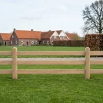 Ligger type Holstein-1