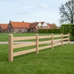 Ligger type Holstein-2