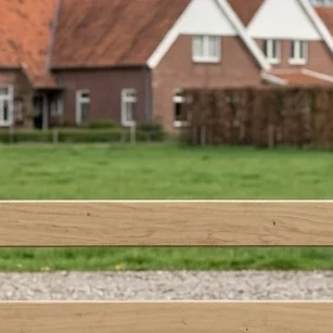 Ligger type Holstein-3