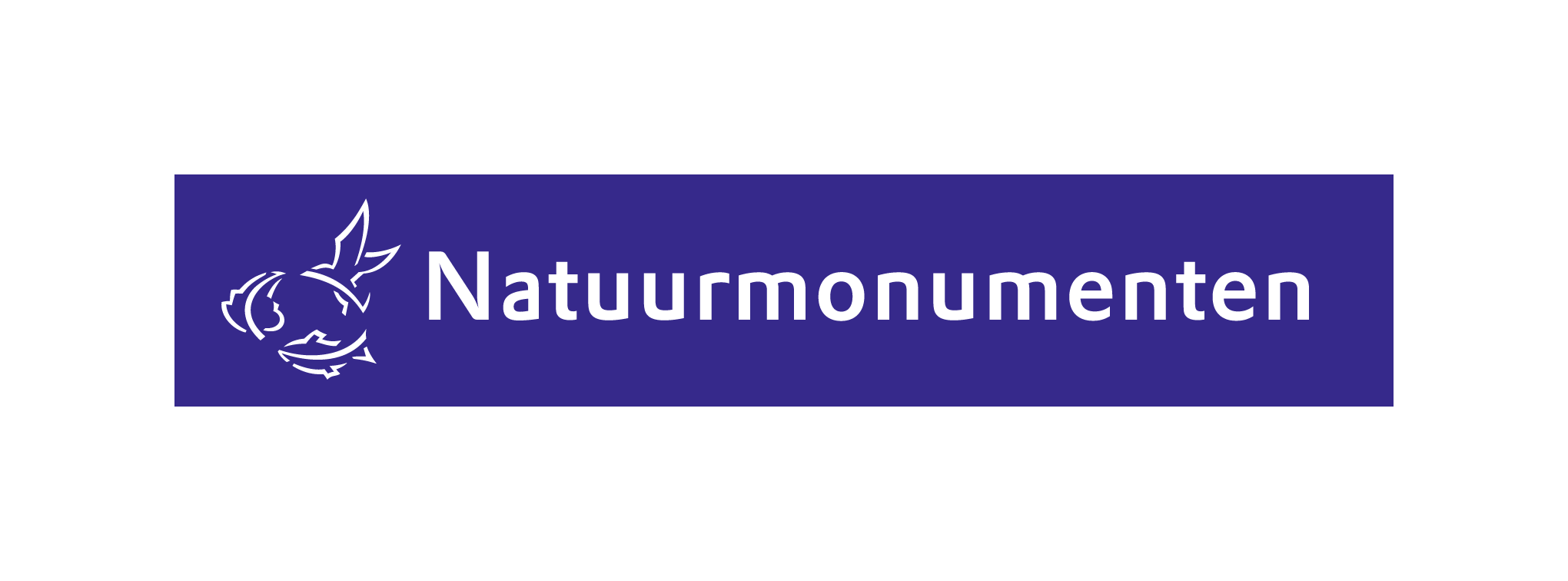 NM LOGO RGB