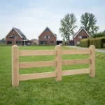 Paal type Holstein-2