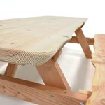 opklap picknicktafel douglas