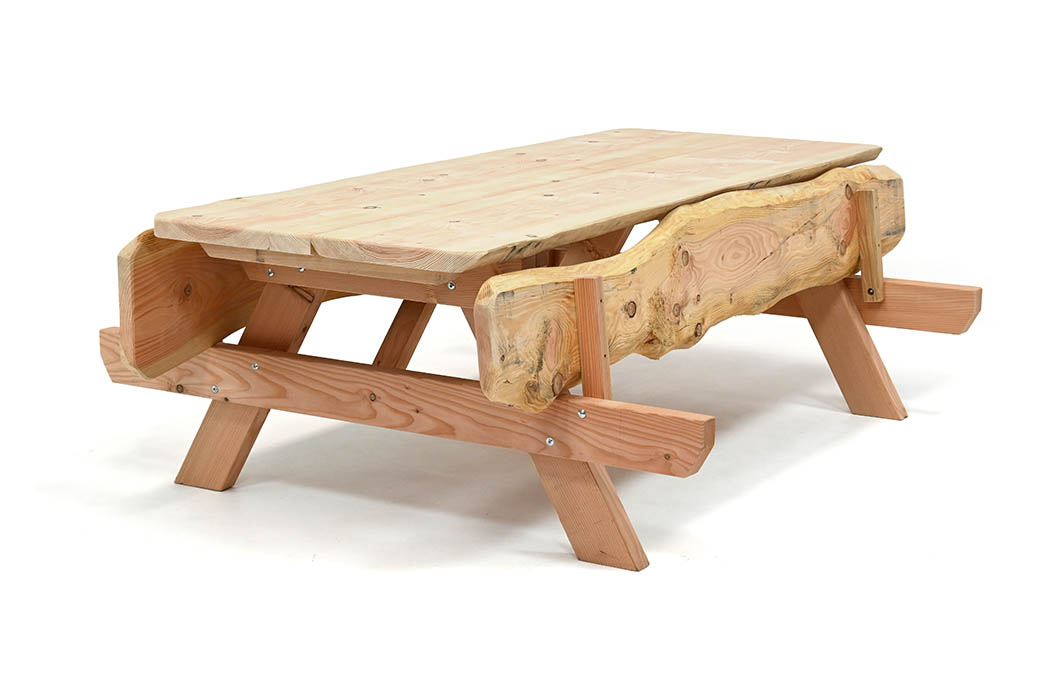 opklap picknicktafel douglas