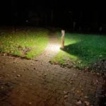 Kastanje buitenlamp “Tijs”5